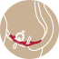 smb_training_muscles-icon_24